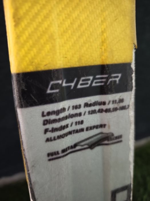 Schiuri Head Intelligence Ic200