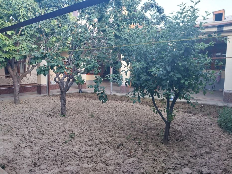 Hovli sotiladi Shtabda