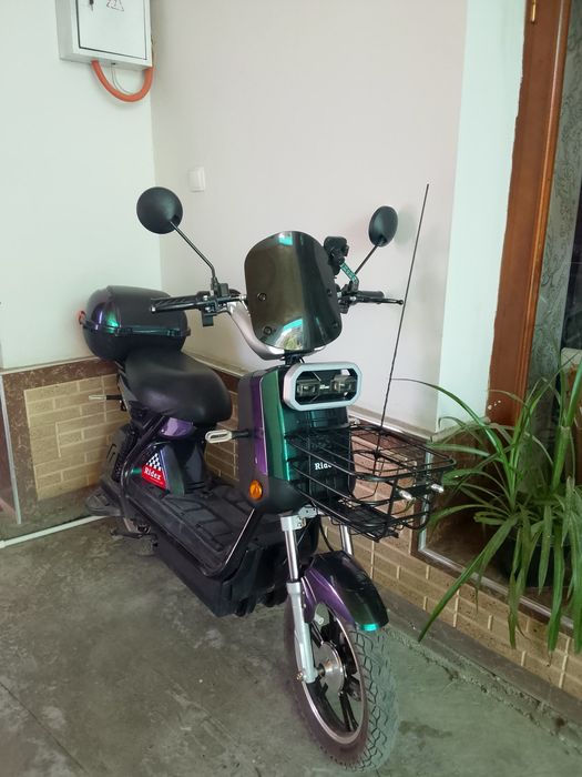 Skute sotiladi  narxi 4 milon soʻm