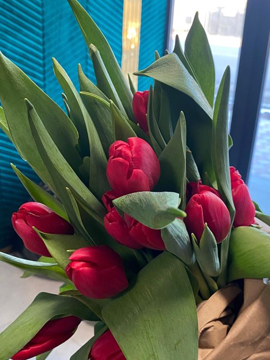 Тараз цветы Голландские тюльпаны