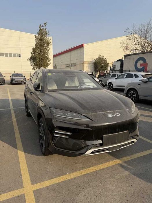 byd chempion pod zakaz