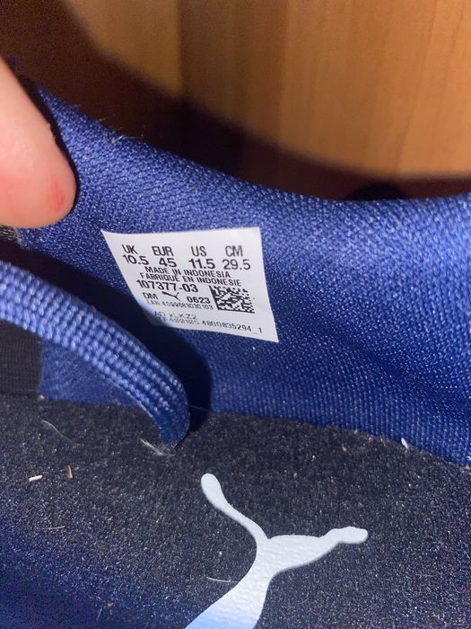 PUMA Future Match FG/AG