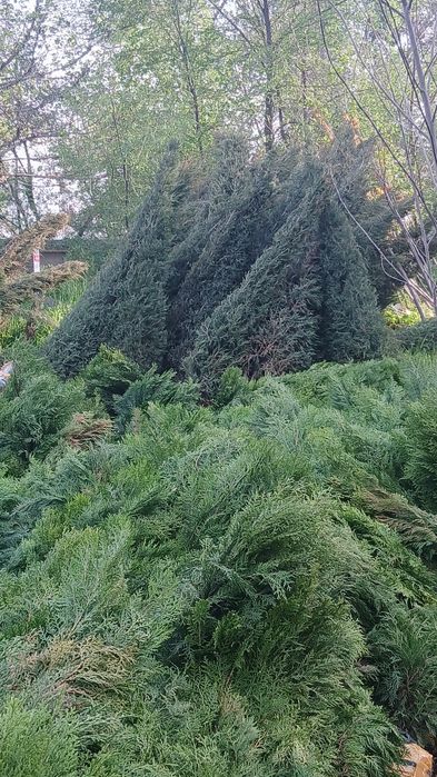 Kafolat berilmaydi ...