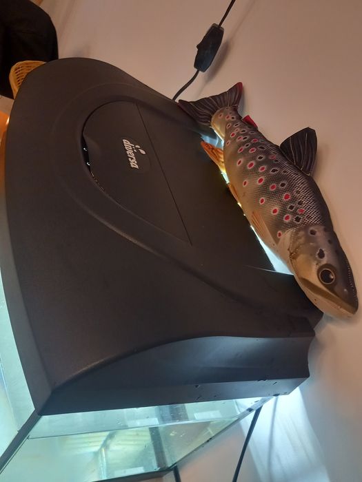 Vand acvariu echipat pentru pesti