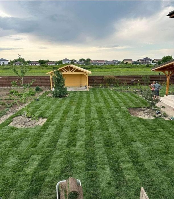 Amenajare gradina cu gazon, plante și pavaj din piatra