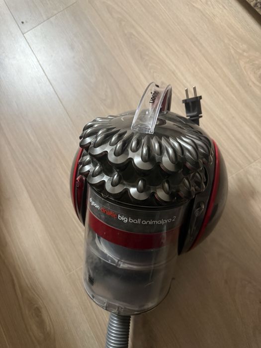 dyson big ball animal pro 2
