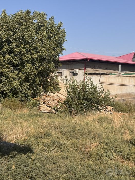 5 sutiq havli zamin narxashba Rajabanim