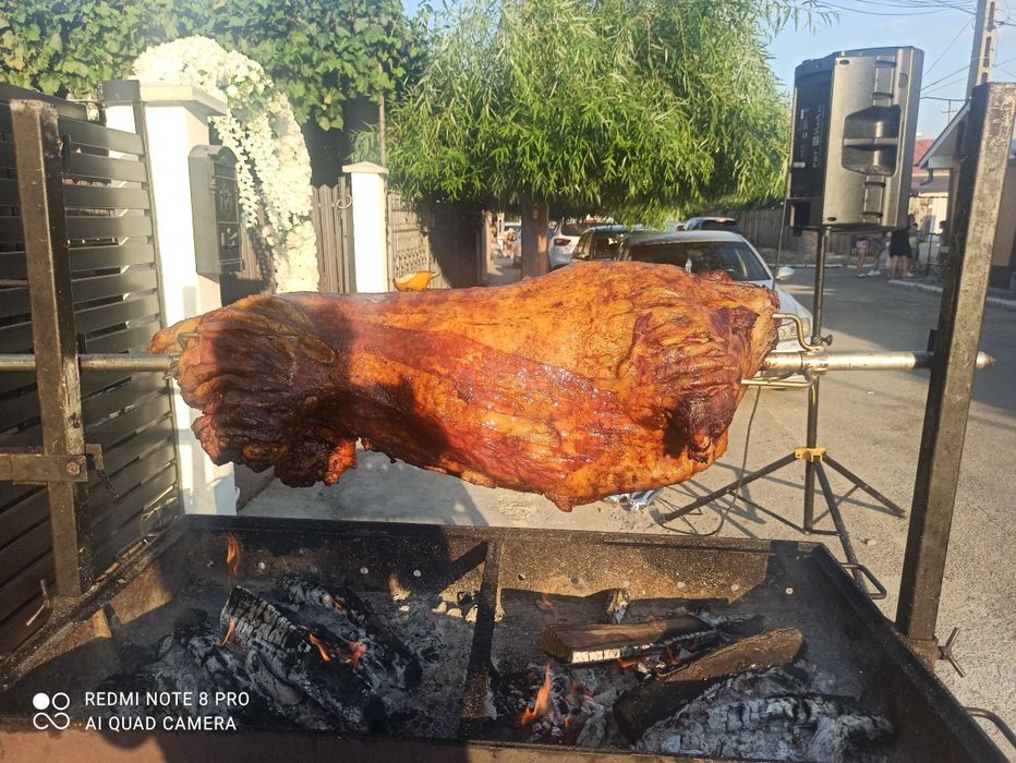 Protap Berbecuț Purceluș