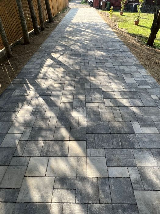 Montaj pavaj și grădini