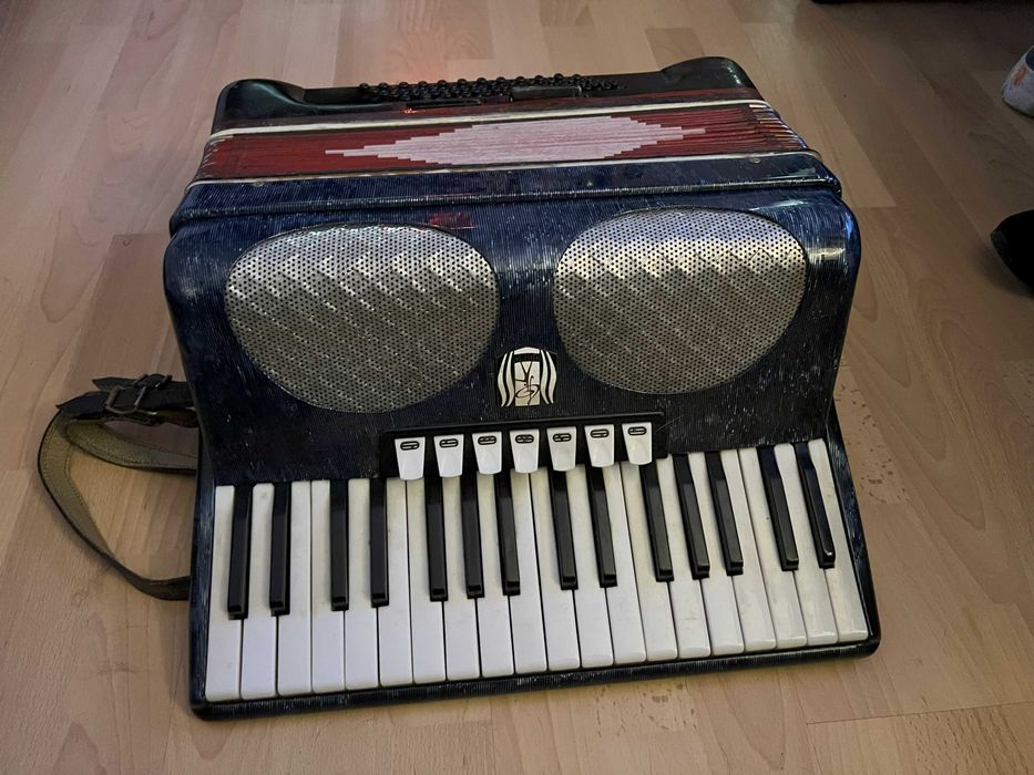 Acordeon in stare foarte buna!