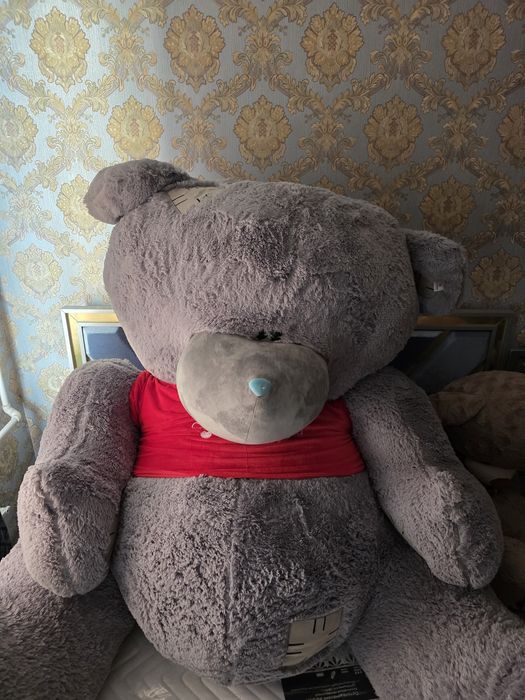 Teddi sotiladi yengi 1.200 soʻm bolishi xitoyda chqarilgan