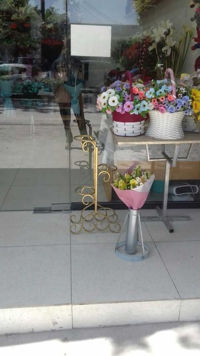 Декоративные растения плюс подставки под цветы