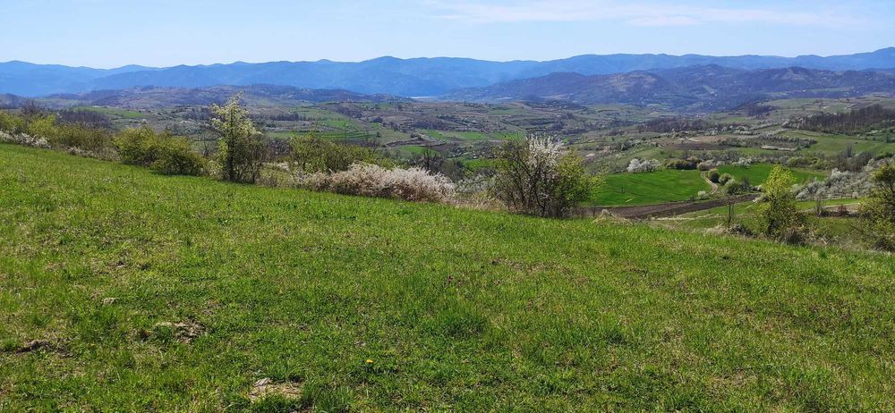 Casă în locație exclusivă, cu vedere spectaculoasă la Dunăre și 6 hectare de teren