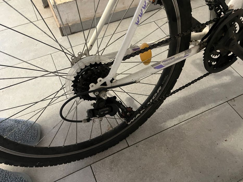 Bicicleta adulti