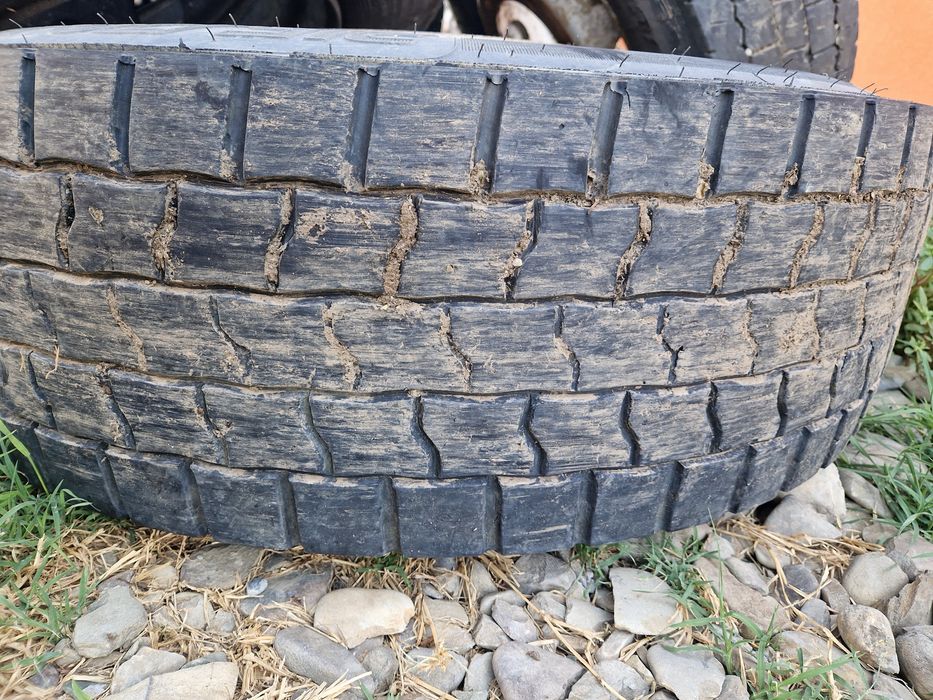 315/70 R 22,5 10 gauri