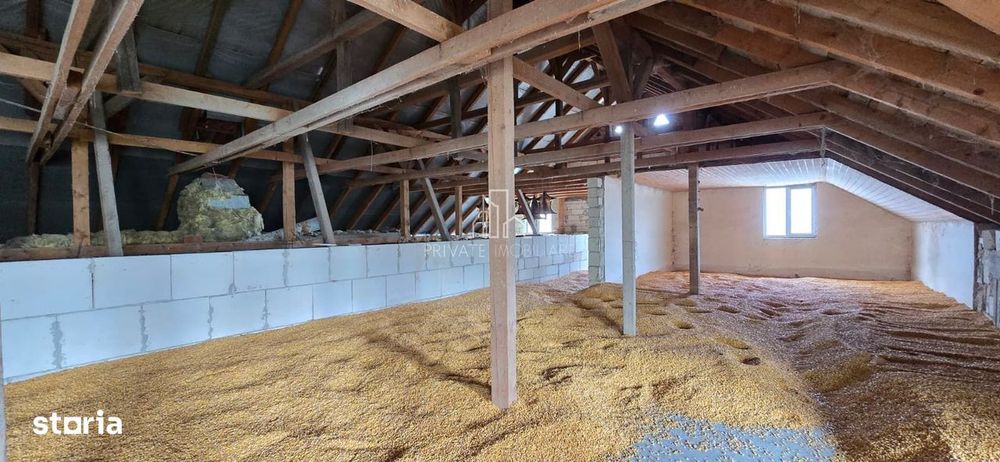 Clădire multifuncțională de vânzare, 470mp utili/nivel, Saes, judet Mu