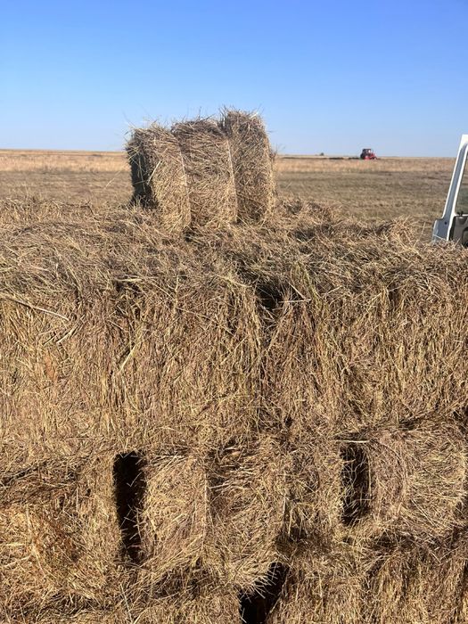 Продам сено в тюках