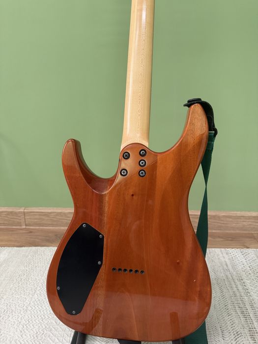 Schecter c6 pro