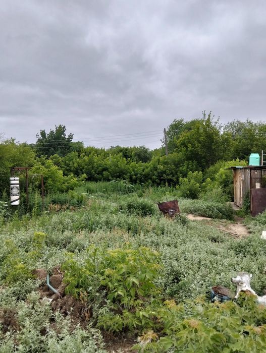 Продам землю с домом