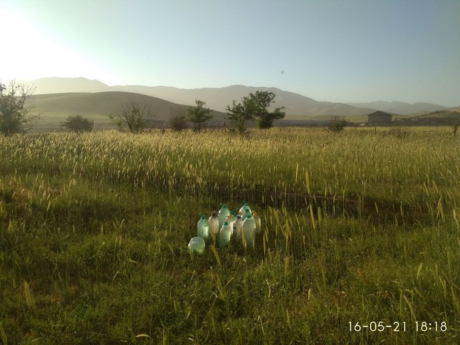 Дача  Ангрен Geologda (Bush yer)