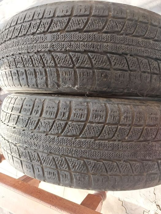 Бу донгелектер бар