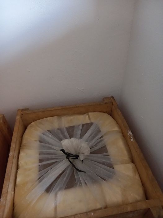 Branza vaca proaspata