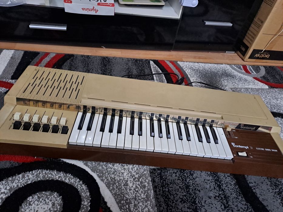Orga electrica de masa Bontempi B4