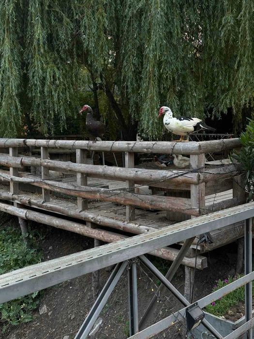 Продава се Къща в Бургас, Меден рудник - зона Д - 70 кв.м за 416 €/кв.м - Снимка #2