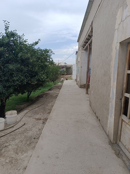 12 сотихли участка бизнеси билан