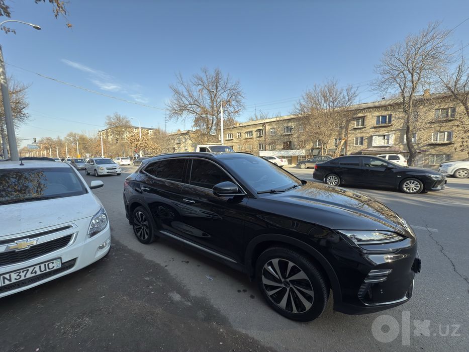 Byd chempion 605