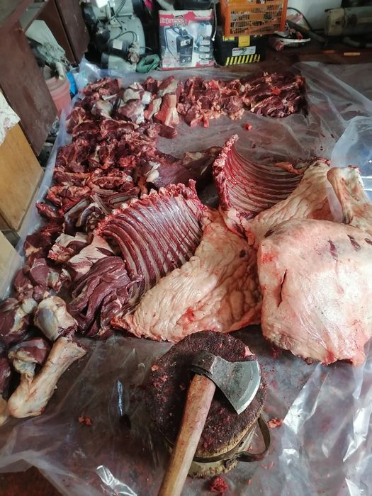 Мясник.  Қасапшы