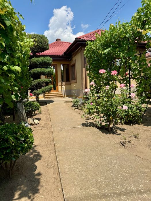 Proprietar închiriez casă în Craiova – Strada Teilor