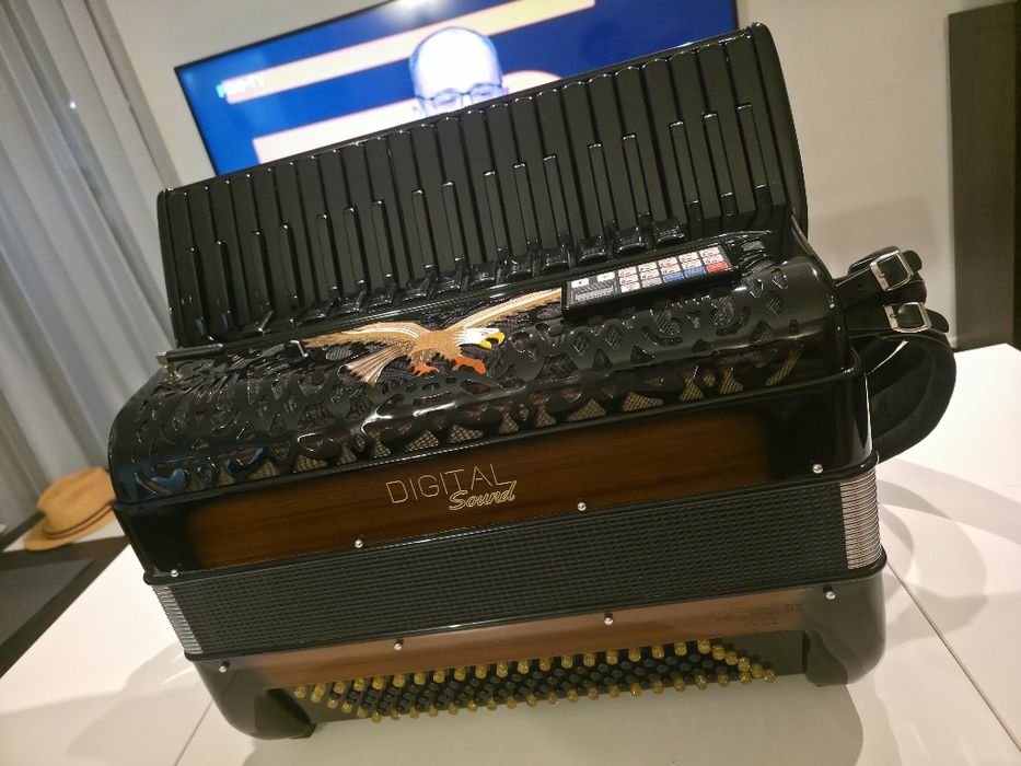 Acordeon Digital Sound