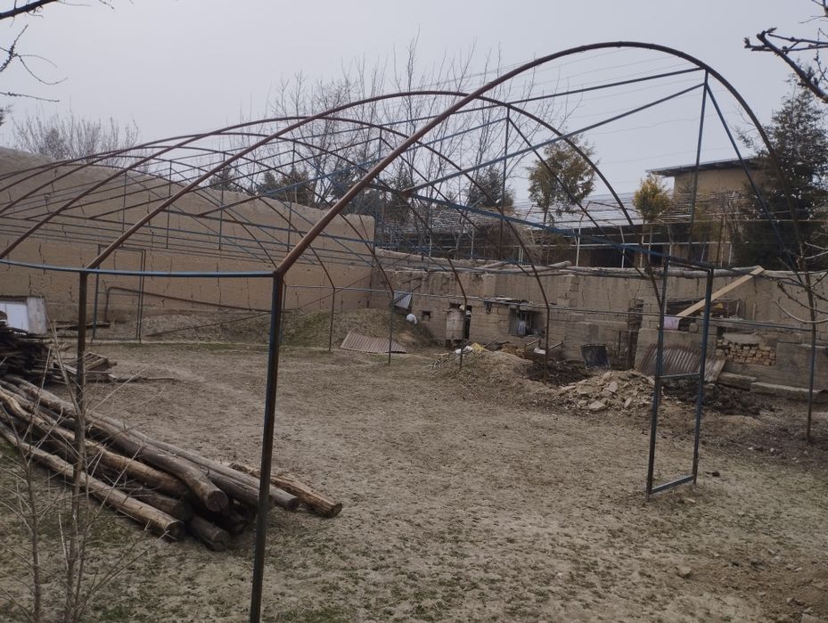 Парник 1 сотокли