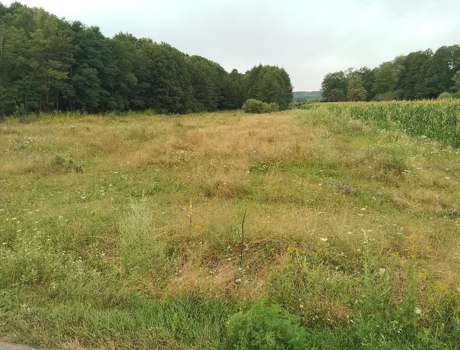 Teren mixt intravilan,extravilan