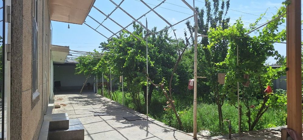 Umid Oftobjon lager pavarotidan kiraverishda hovli sotiladi