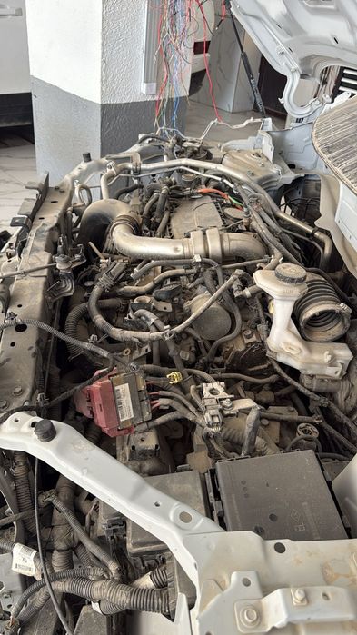 Renault Samsunq QM6 2019