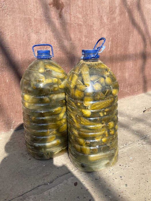 Огурцы соленые .