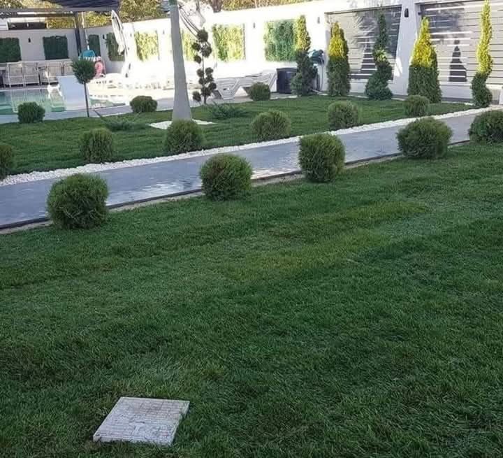 Gazon Rulou și sistem de irigatii