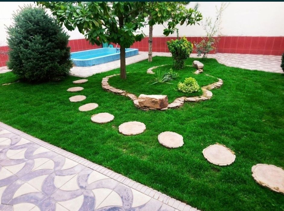 Газон екамиз тайор рулони ва уругидан сепамиз yevro gazon
