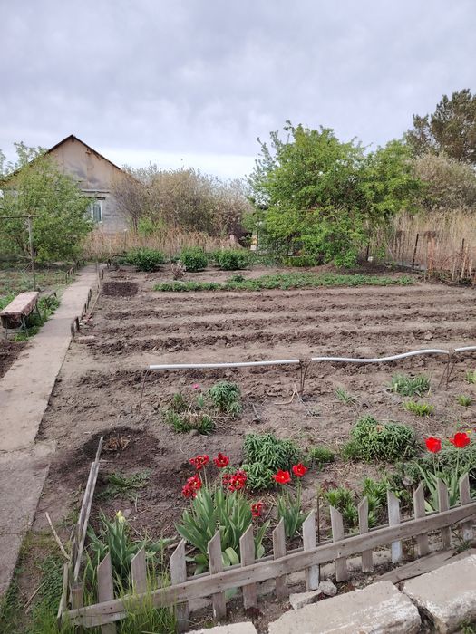 Продажа дача летний вариант