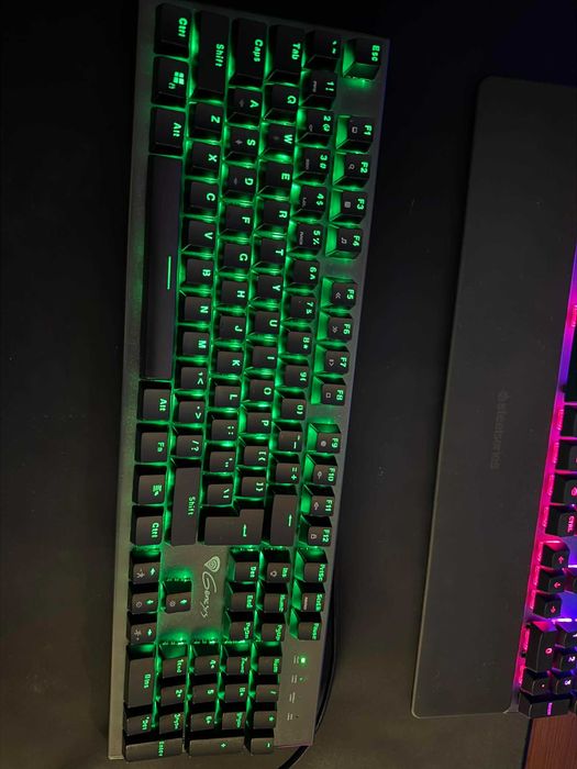 Механична Клавиатура Genesis Thor 300