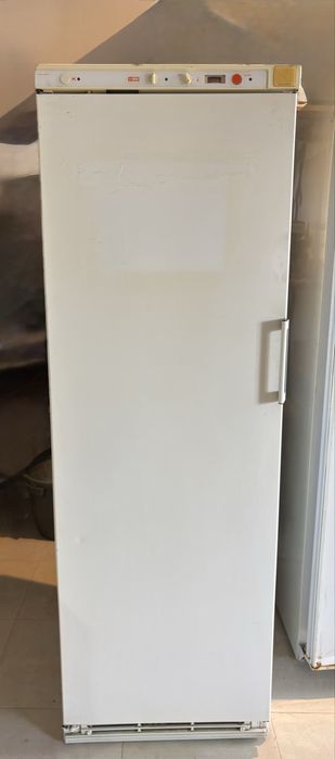 Congelator vertical profesional – capacitate mare, 6 rafturi