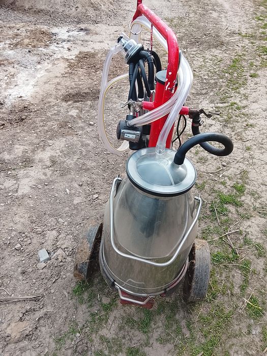 Vînd motocultor 14 cp preț.1300 euro și mulgătoare vaci 1600 lei