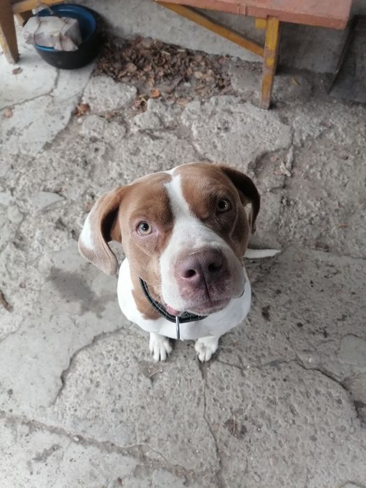 Ищем кабеля для вязки