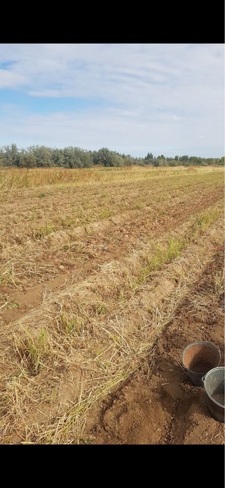 Крестянское хозяйство