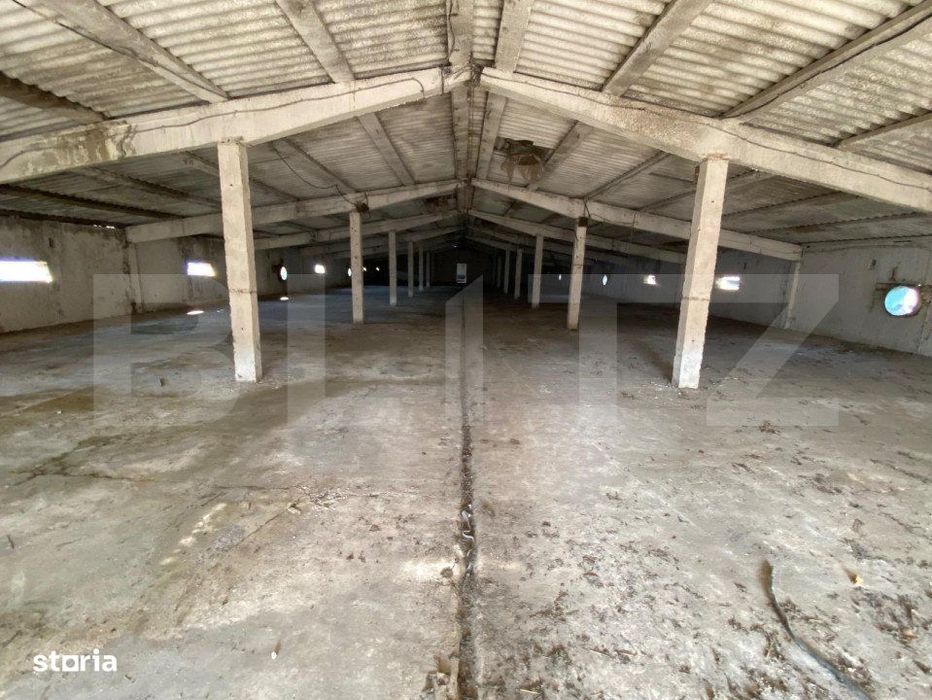 Hala industriala, 6000 mp, zona Pielesti