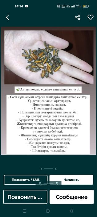 Алтын қоңыз Сатылады