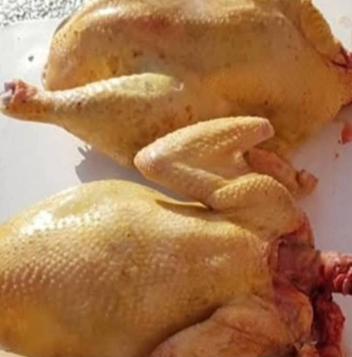 Pui albi de carne și găini albe de carne