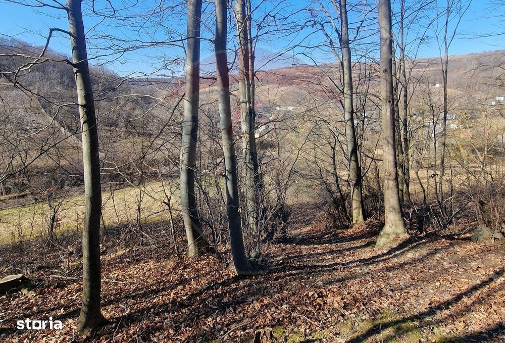 Teren de Vânzare în Pâncești (Sascut)